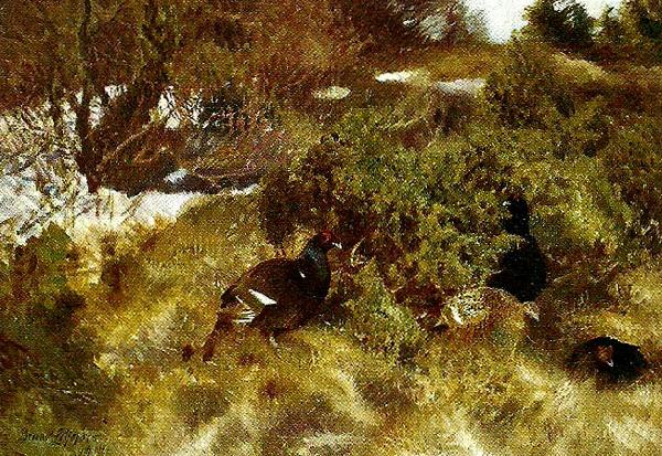 bruno liljefors landskap med orrar, tidig var Norge oil painting art